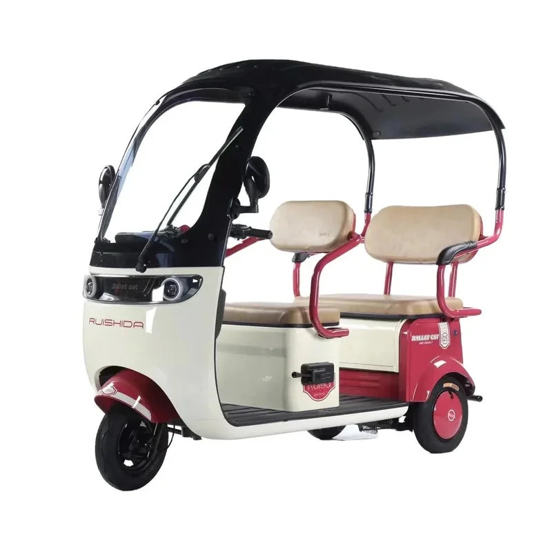 3 Wheel Passenger Electric Bike Tricycle  Scooter With Roof   tricycles for adults child
