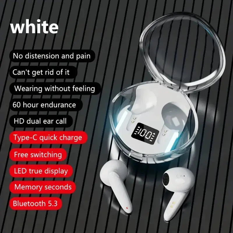 Premium Wireless Earbuds with RGB Charging Case